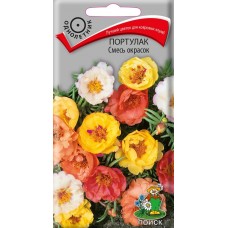 Портулак Смесь окрасок