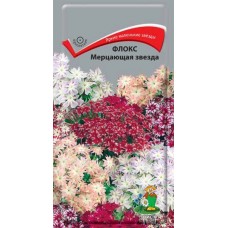 Флокс Мерцающая звезда