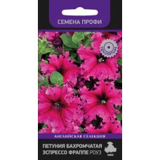 Петуния бахромчатая Эспрессо Фраппе Роуз