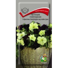 Петуния гибридная Софистика блекберри энд лайм грин