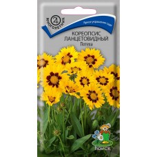Кореопсис ланцетовидный Потеха