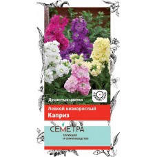 Левкой низкорослый Каприз