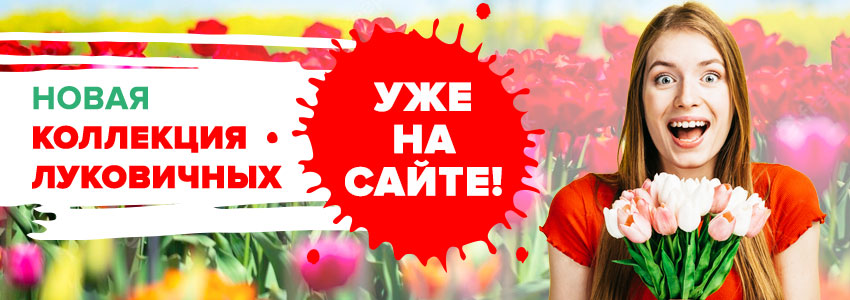 Новая коллекция луковичных