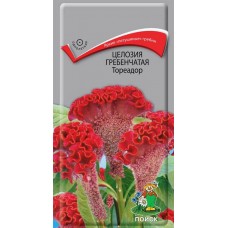 Целозия гребенчатая Тореадор