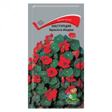 Настурция Красота Индии