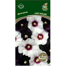 Шток-роза Найт энд Дэй Шток-роза Найт энд Дэй