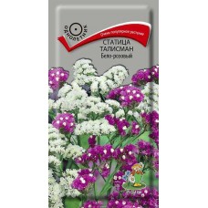 Статица ТалисманБело-розовый