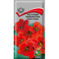 Настурция низкорослая Король Теодор