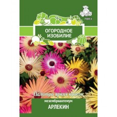 Мезембриантемум	 Арлекин