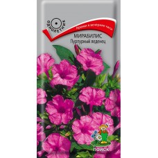 Мирабилис Пурпурный леденец