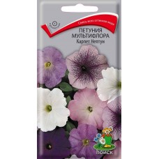 Петуния мультифлора Карпет нептун