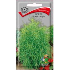 Кохия Летний кипарис