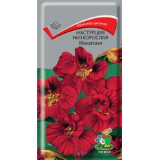 Настурция низкорослая Махагони