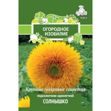 Подсолнечник однолетний Солнышко