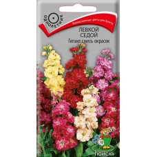 Левкой седой Гигант смесь окрасок