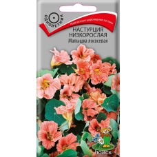 Настурция низкорослая Малышка лососевая