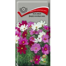 Космея Дварф сенсейшн микс