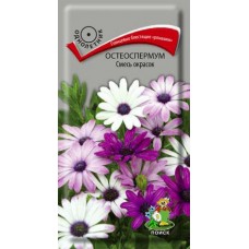 Остеоспермум Смесь окрасок