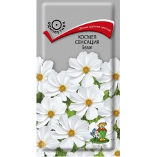 Космея Сенсация Белая
