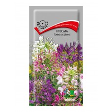 Клеома Смесь окрасок