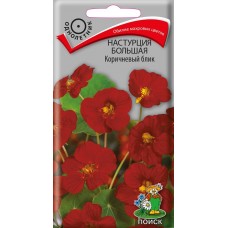Настурция большая Коричневый блик
