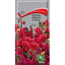 Кларкия изящная Рубиновая