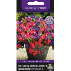 Петуния ампельная F1 Шок Роял Микс