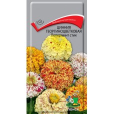 Цинния георгиноцветковая Пеперминт стик