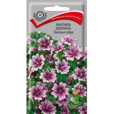 Мальва зебрина Лиловая зебра