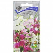 Чина широколистная Смесь окрасок