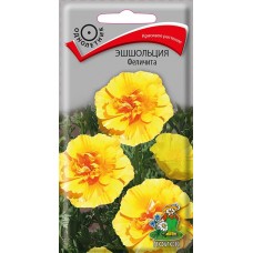 Эшшольция Феличита