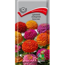 Цинния изящная Белиссимо
