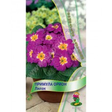 Примула Орион Пинк
