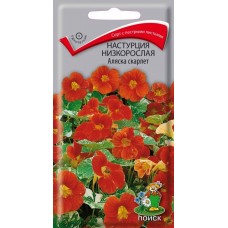 Настурция низкорослая Аляска скарлет