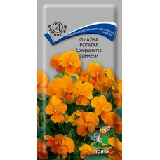 Фиалка рогатая Совершенство оранжевая