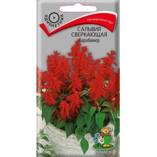 Сальвия сверкающая Карабинер