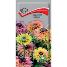 Рудбекия Акварель