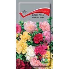 Шток-роза Квинни микс