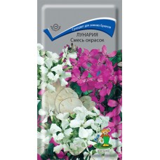Лунария Смесь окрасок
