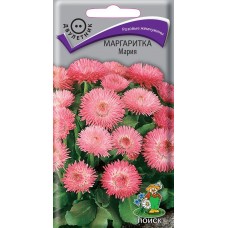 Маргаритка Мария