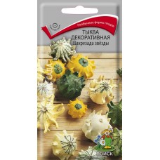 Тыква декоративная Шахрезада звезды Тыква декоративная Шахрезада звезды