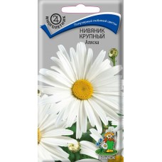 Нивяник крупный Аляска
