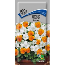 Фиалка рогатая Кокетка