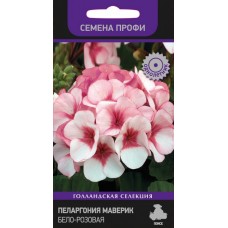Пеларгония Маверик Бело-розовая