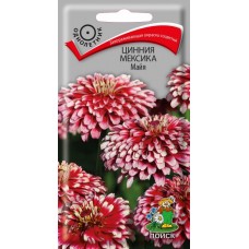 Цинния Мексика Майя Цинния Мексика Майя