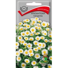 Хризантема Снегурочка