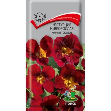 Настурция низкорослая Черный трюфель