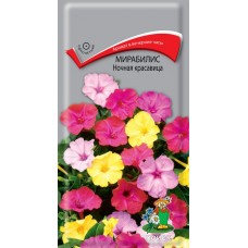 Мирабилис Ночная красавица