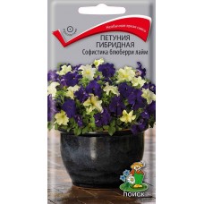 Петуния гибридная Софистика блюберри лайм