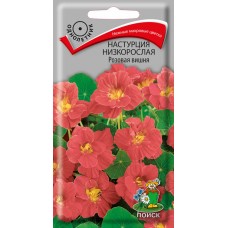 Настурция низкорослая Розовая вишня